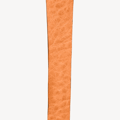 orange (No. 42)