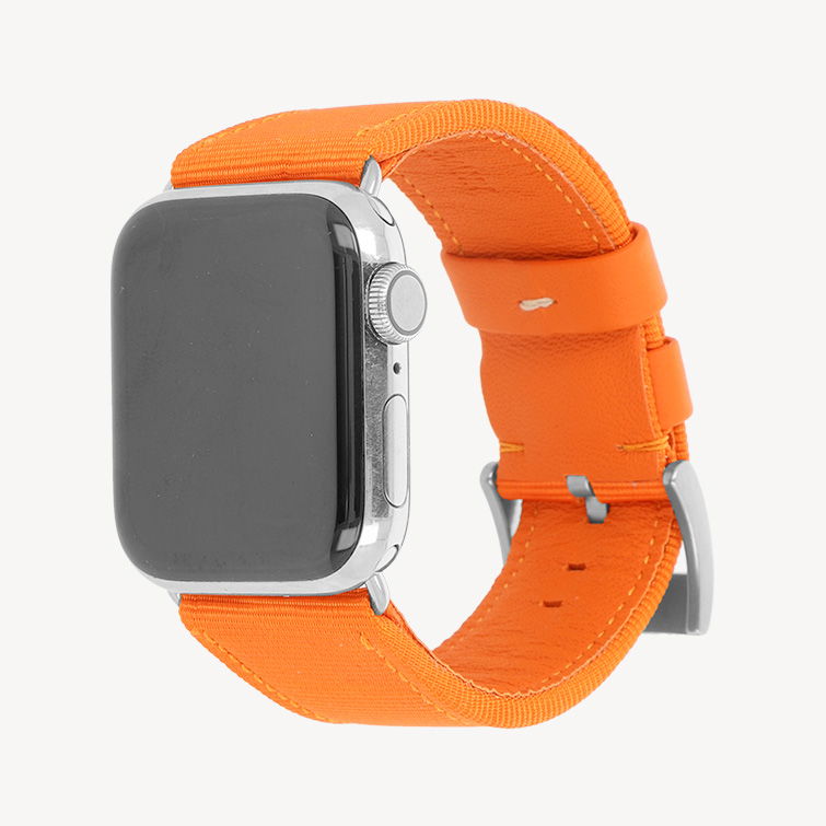 Apple Texstrap