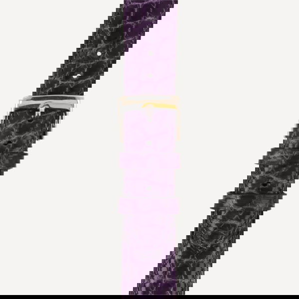 viola (No. 24)